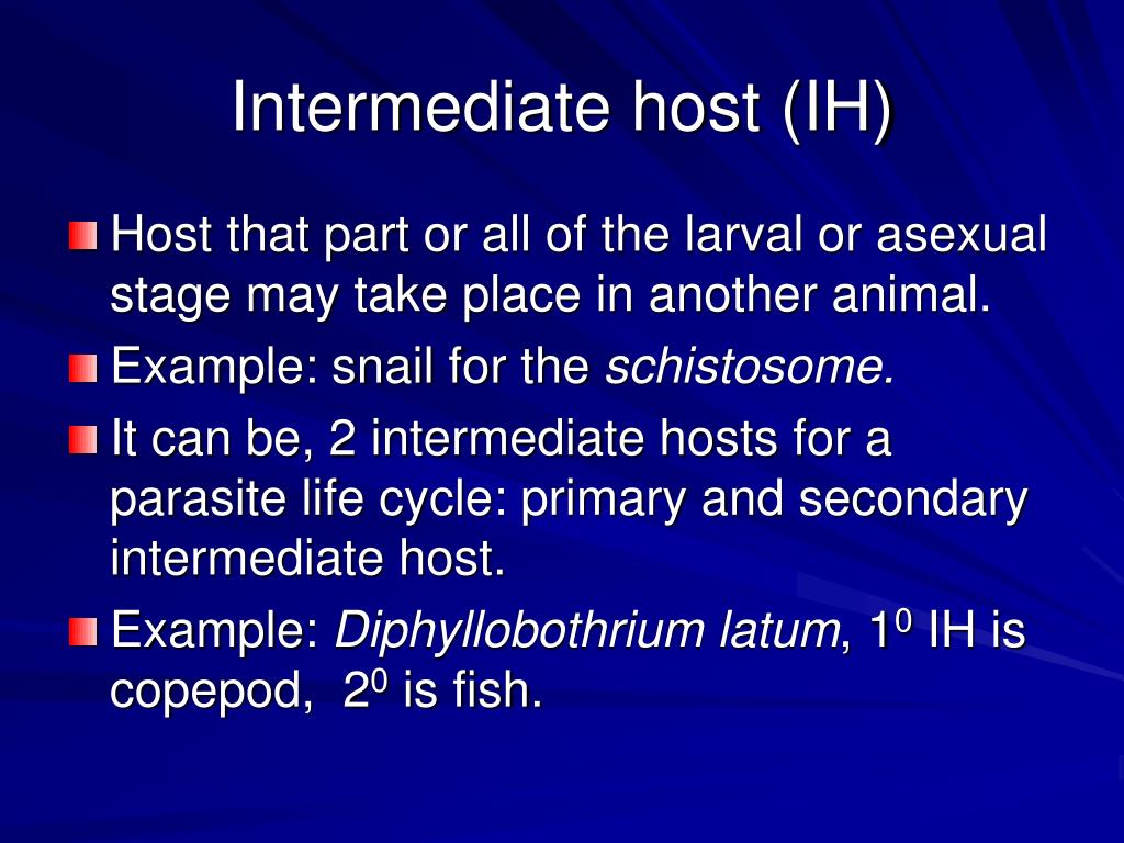 PPT SBM 2022 Medical Parasitology & Entomology PowerPoint