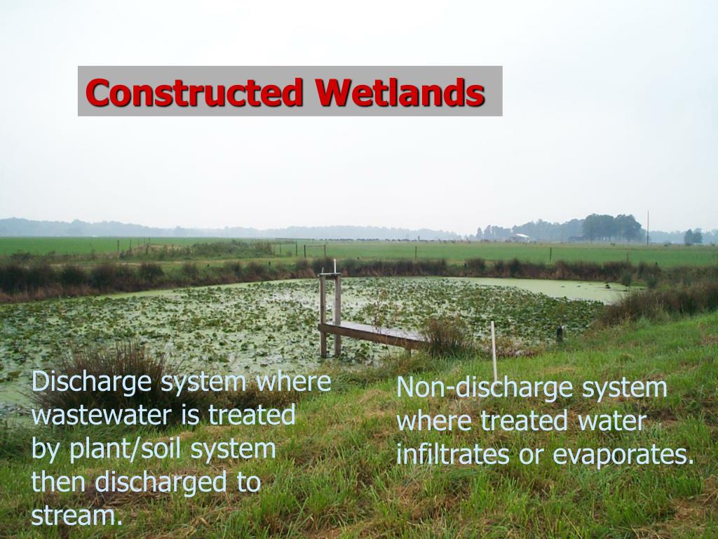 PPT Understanding Wastewater Treatment Systems PowerPoint