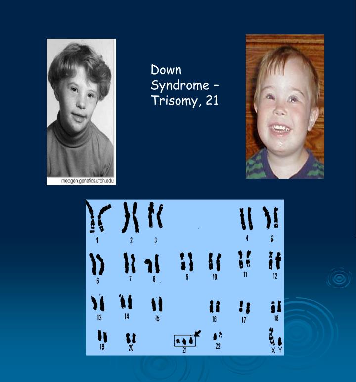 PPT Chromosomes PowerPoint Presentation ID838339