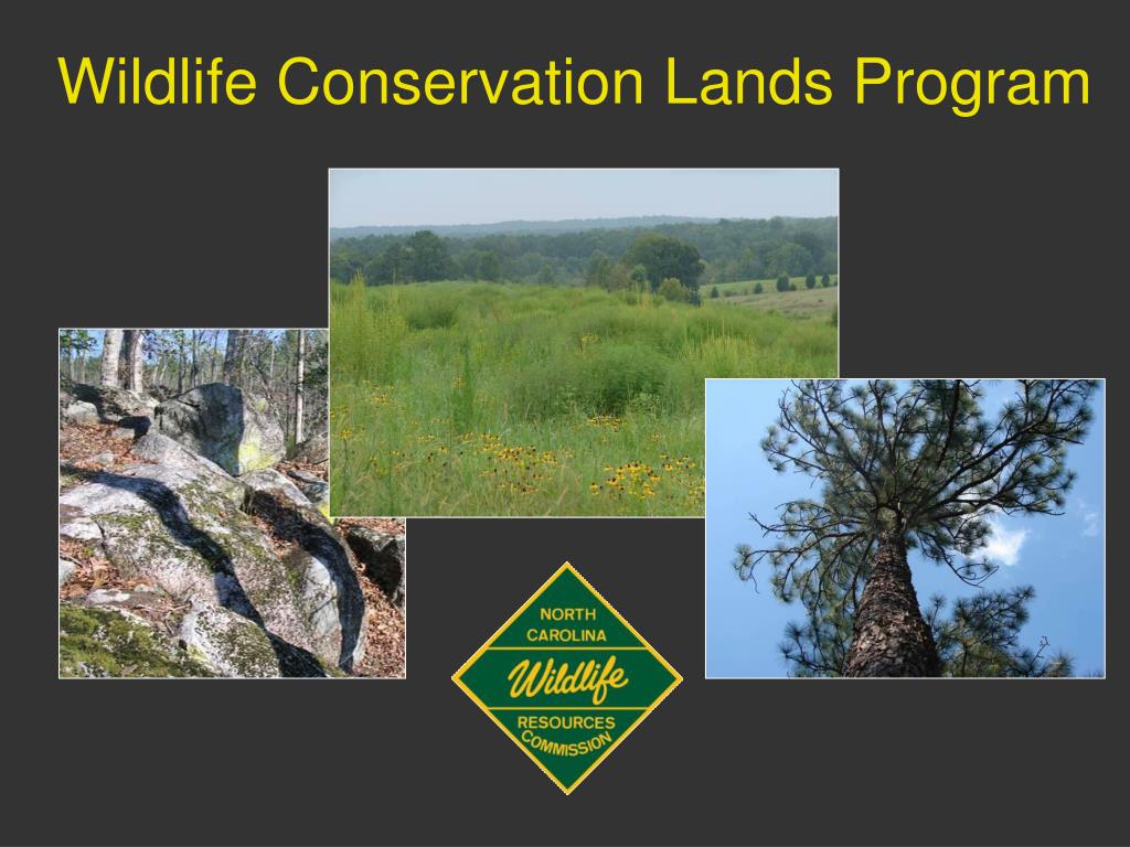 PPT Wildlife Conservation Lands Program PowerPoint Presentation, free download ID839798