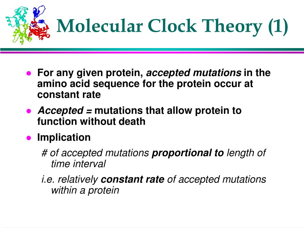 Molecular Clock Diagram
