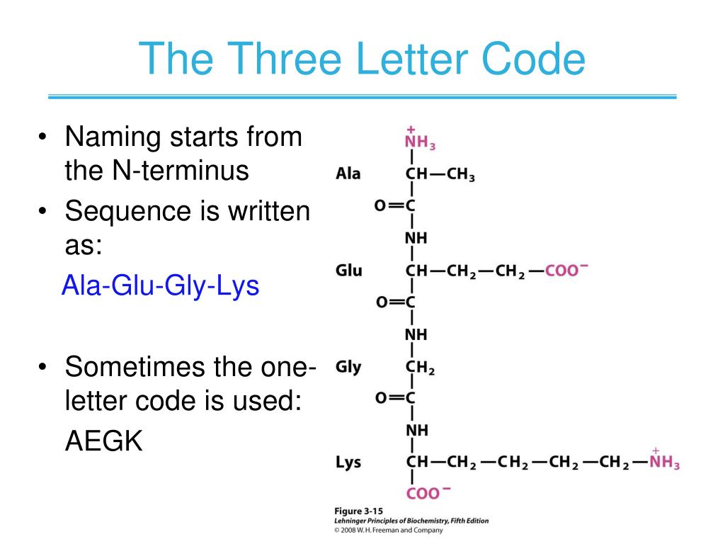 PPT CHAPTER 3 Amino Acids, Peptides, Proteins PowerPoint Presentation