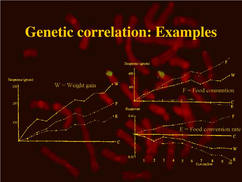 PPT Chapter 8 Selection response PowerPoint Presentation, free