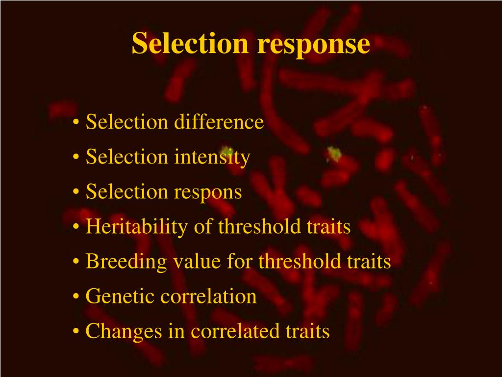PPT Chapter 8 Selection response PowerPoint Presentation, free