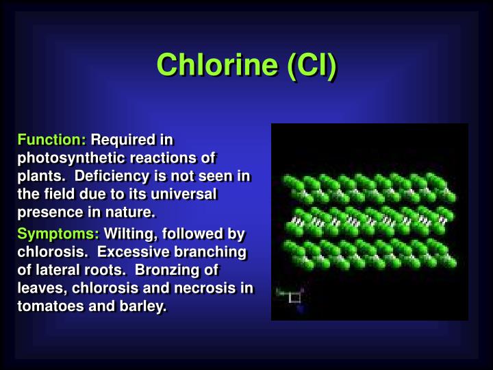 PPT Nutrients Essential for Plant Growth PowerPoint Presentation ID