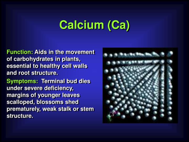 PPT Nutrients Essential for Plant Growth PowerPoint Presentation ID