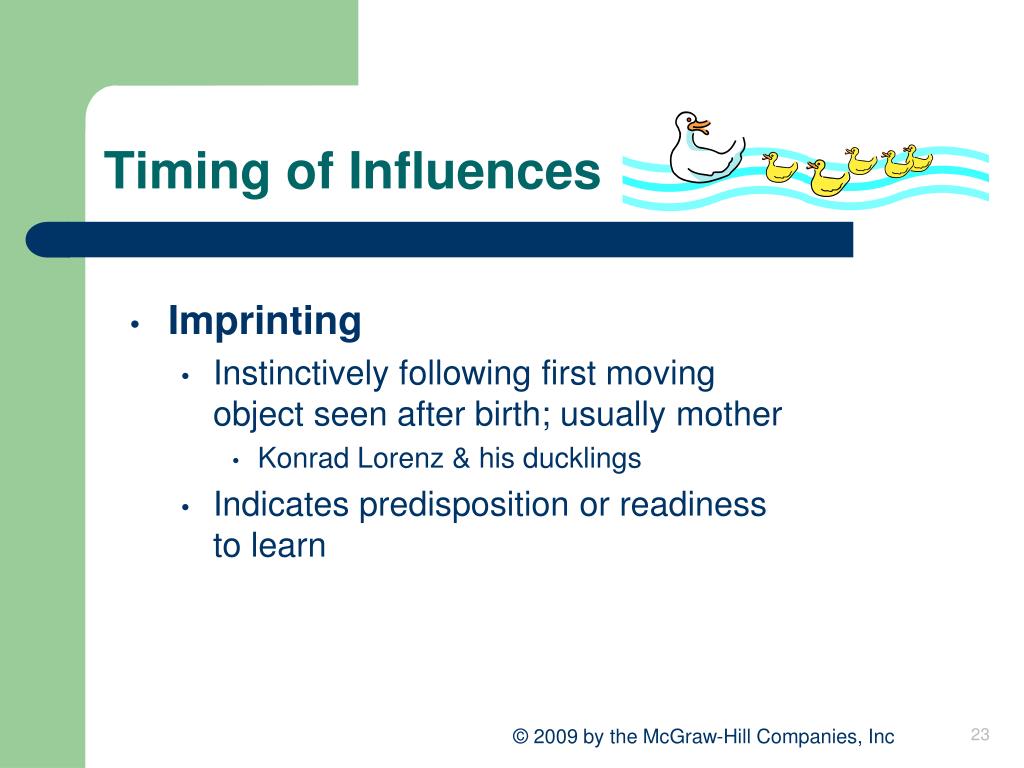 PPT The Study of Human Development PowerPoint Presentation, free
