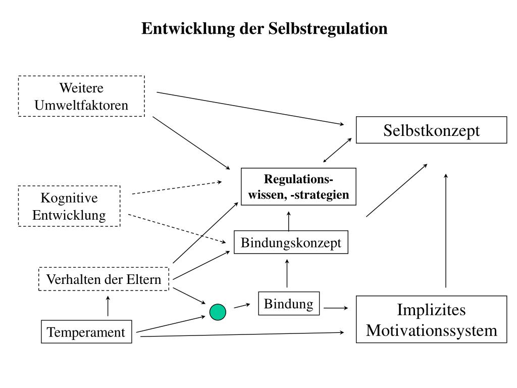 PPT Selbstregulation Emotionen und Coping PowerPoint
