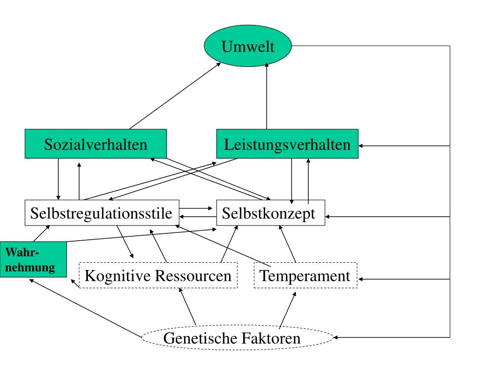 PPT Selbstregulation Emotionen und Coping PowerPoint Presentation