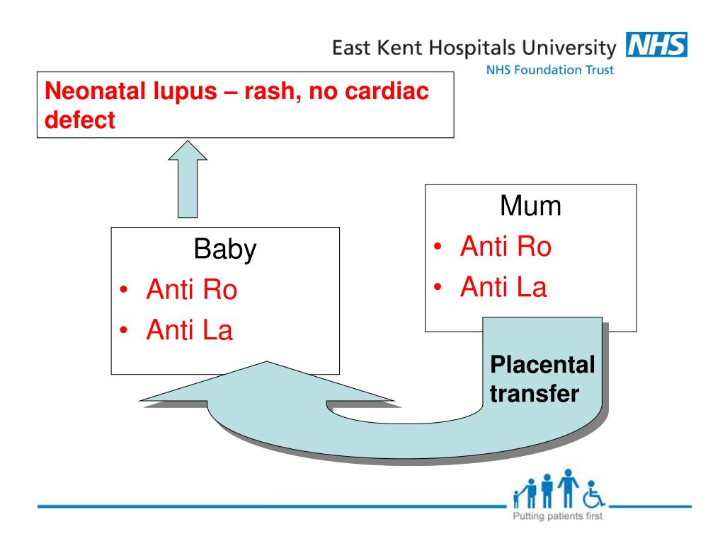 PPT A case of neonatal lupus PowerPoint Presentation, free download