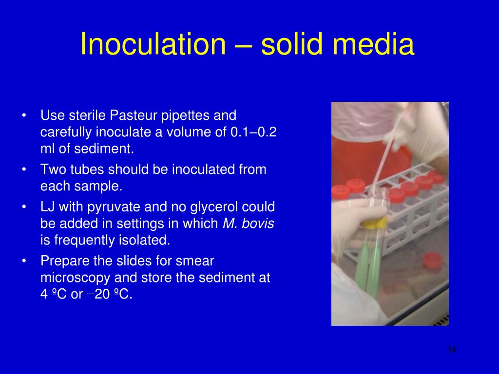 PPT Module 6 Processing the specimens and inoculation on solid and