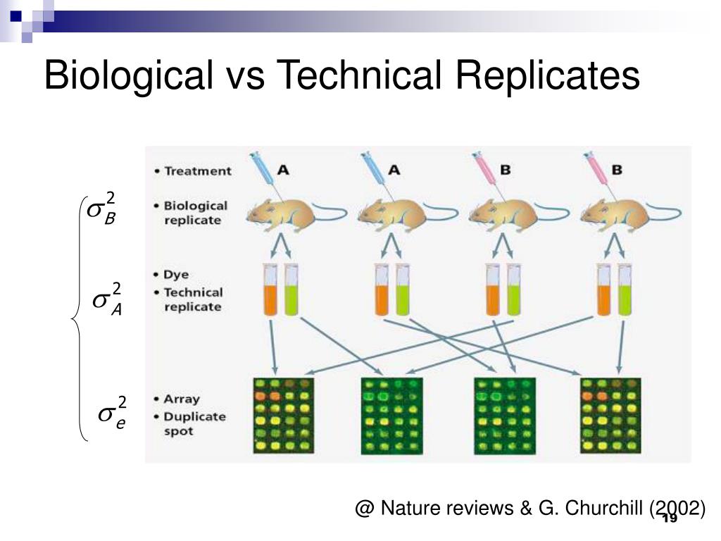 PPT Some Statistical Issues in Microarray Data Analysis PowerPoint