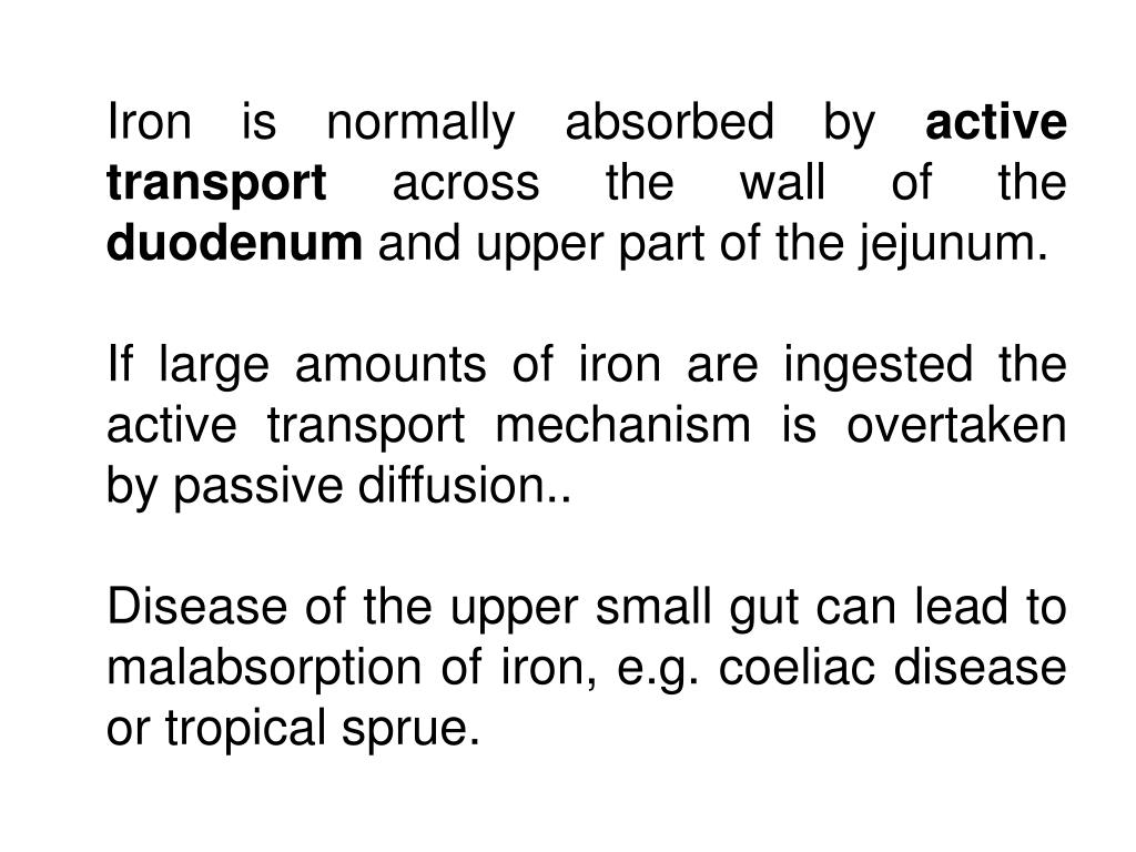 PPT animias PowerPoint Presentation, free download ID863040