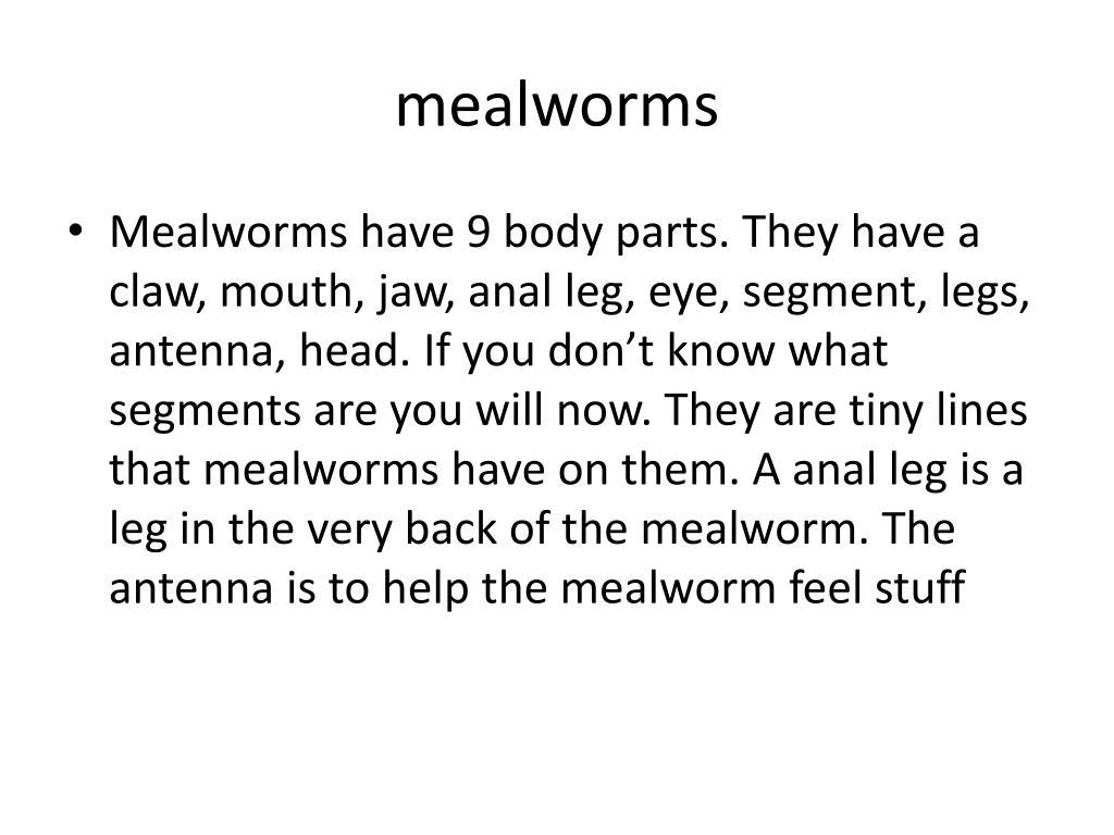 PPT Mealworms body parts PowerPoint Presentation, free download ID