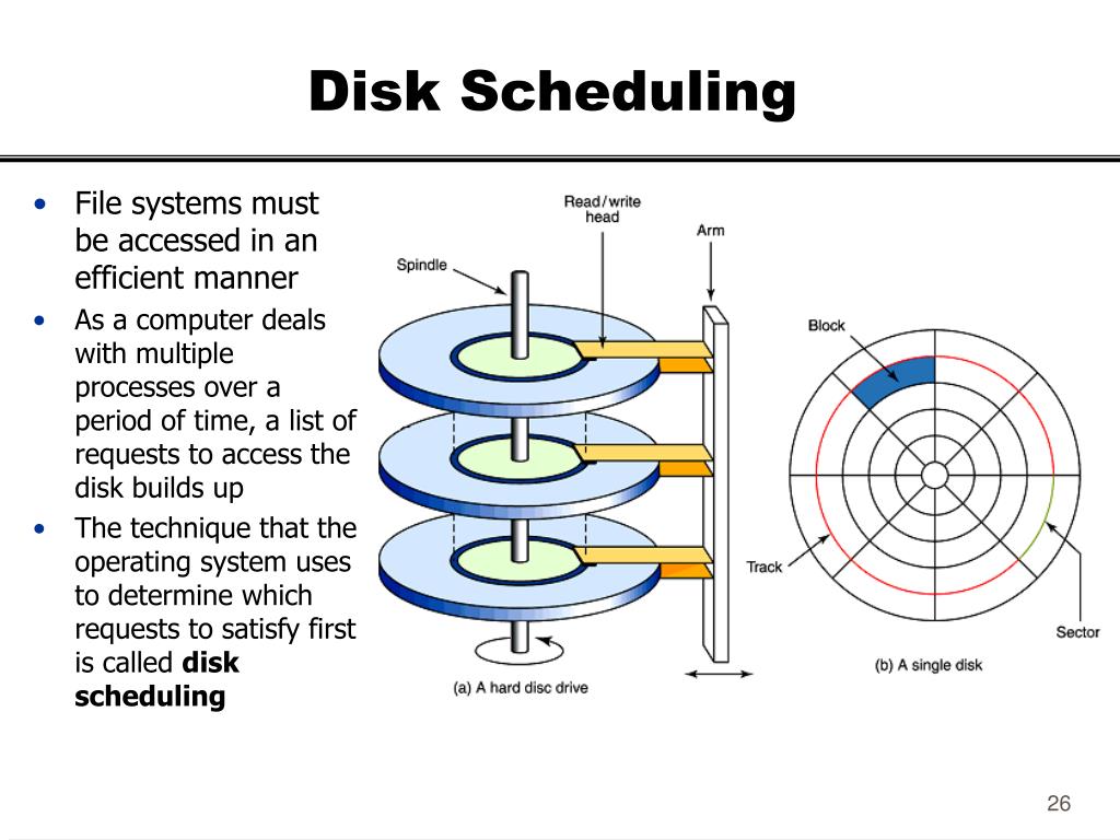 PPT Software Hierarchy PowerPoint Presentation, free download ID86979
