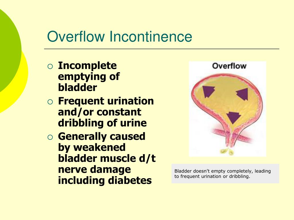 PPT Physiologic Changes of Aging PowerPoint Presentation, free