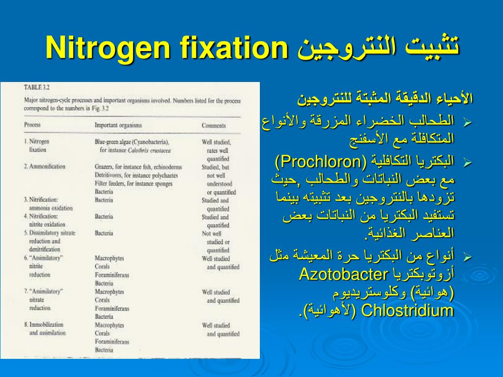 PPT دورة العناصر المغذية في بيئة الشعاب المرجانية