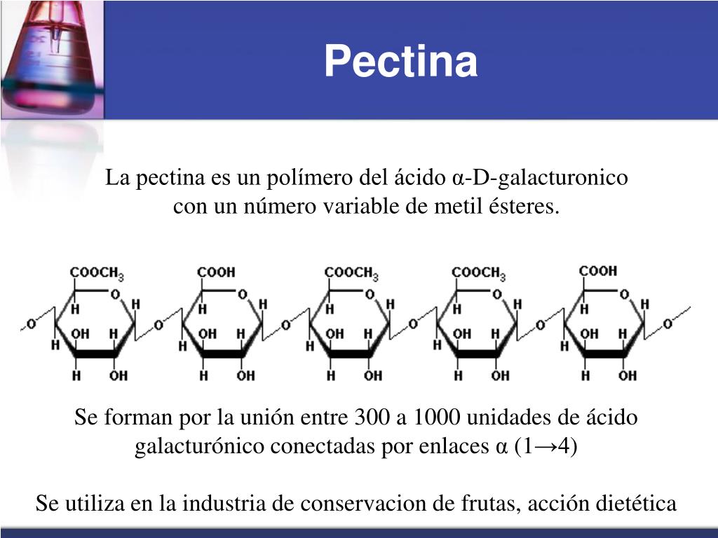 PPT Unidad IV Química de carbohidratos PowerPoint Presentation, free