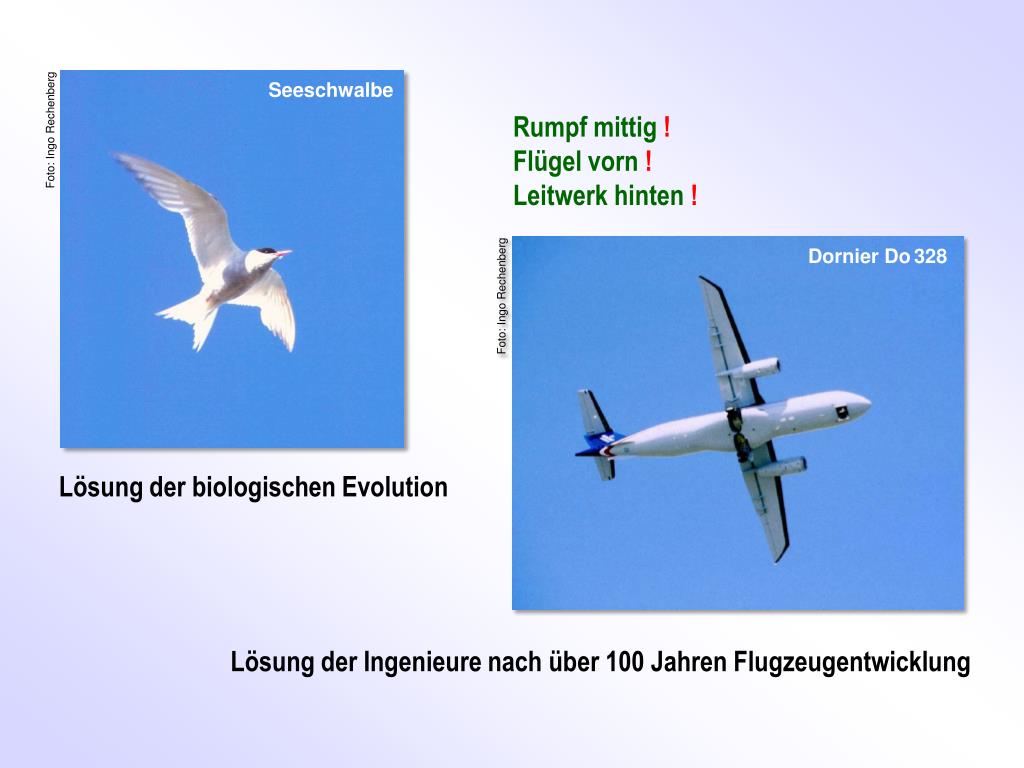PPT Ingo Rechenberg PowerPoint Presentation, free download ID881342