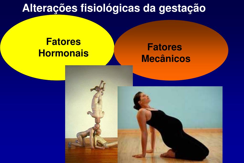 PPT Modificações gerais do organismo materno decorrentes da gravidez