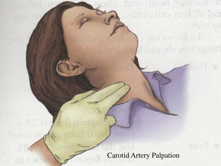 PPT EMT 100 PowerPoint Presentation ID882482