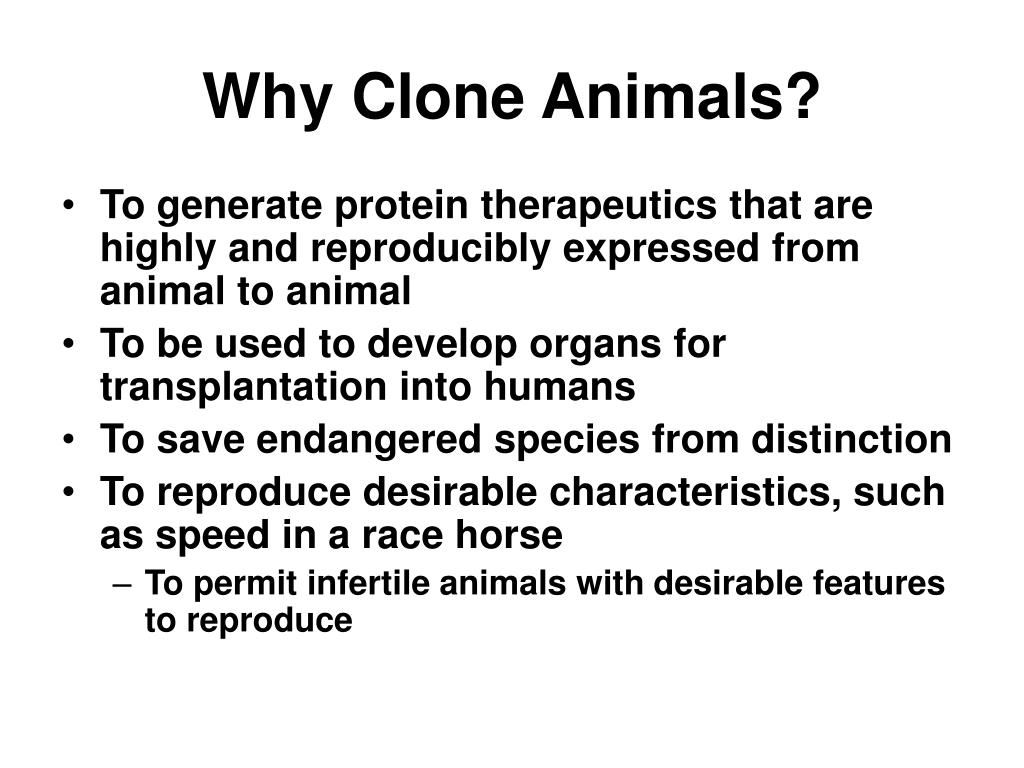PPT The Science and Ethics of Reproductive Cloning Introduction to