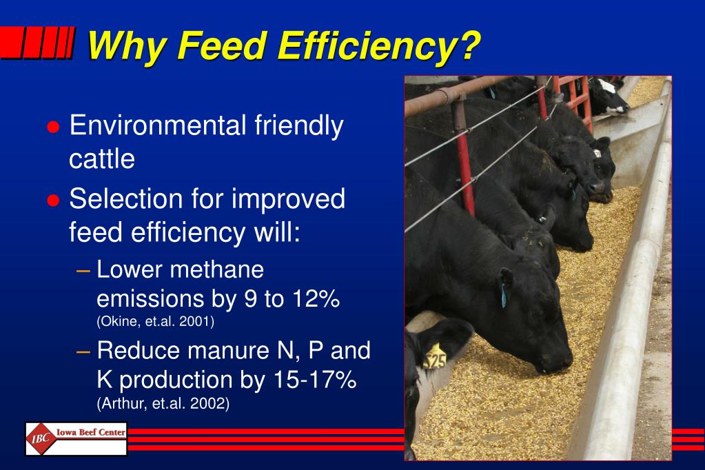 PPT Applying feed intake monitoring systems into producer testing