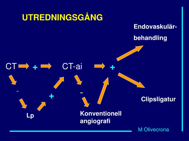 PPT SUBARACHNOIDAL BLÖDNING PowerPoint Presentation ID887884