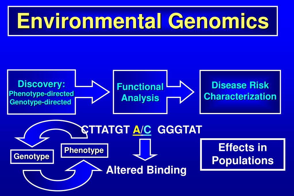 PPT The NIEHS Environmental Genome Project Enabling Studies of GeneEnvironment Interaction