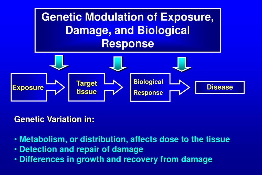 PPT The NIEHS Environmental Genome Project Enabling Studies of GeneEnvironment Interaction