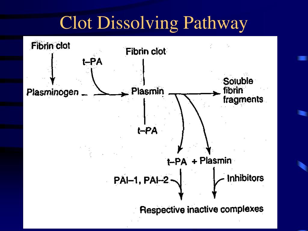 PPT ENZYME CASCADES BLOOD CLOTTING PowerPoint Presentation, free