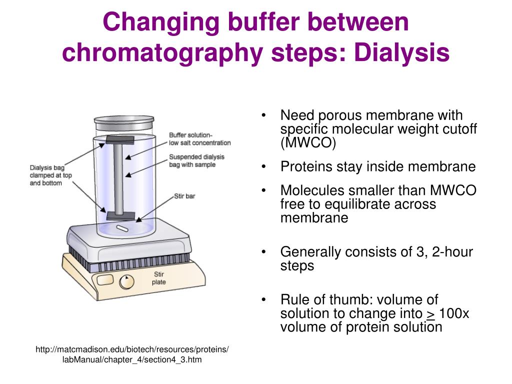 Dialysis Purification Of Proteins at Martha Castro blog