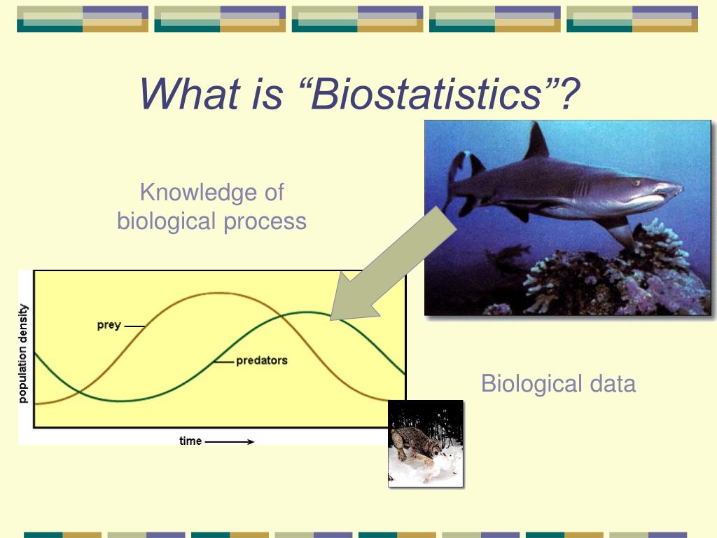 PPT Biostatistics for Dummies PowerPoint Presentation, free download
