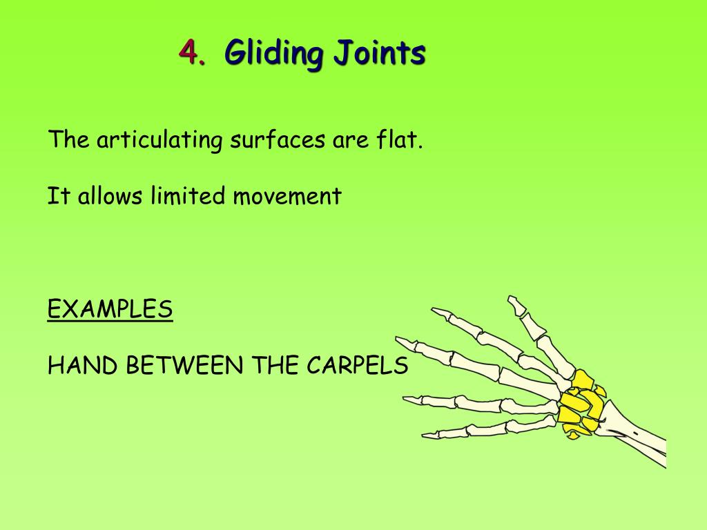 PPT JOINTS PowerPoint Presentation, free download ID89428