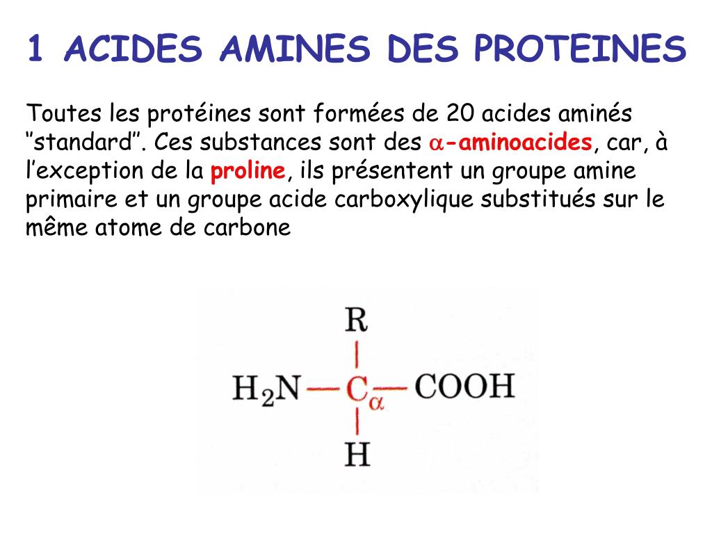 PPT Chapitre 4 Acides aminés Acides aminés des protéines