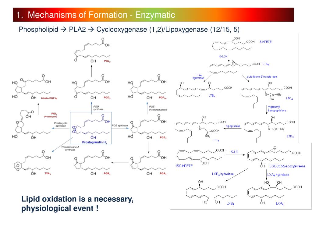 PPT Reactivity and Biological Functions of Oxidized Lipids PowerPoint