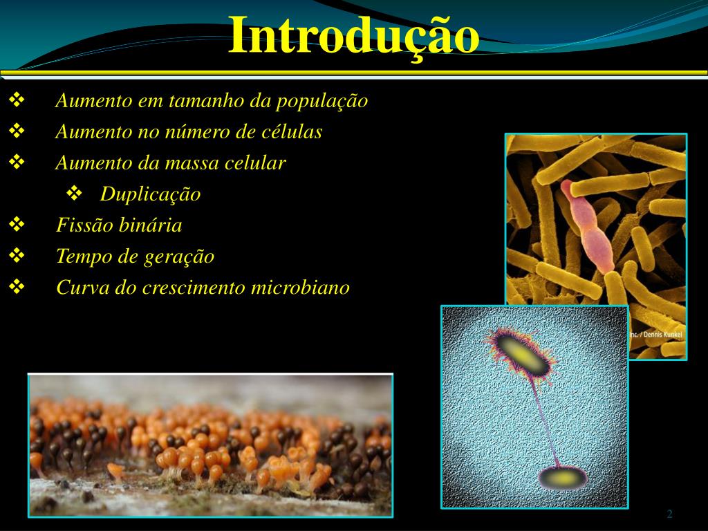PPT Crescimento Microbiano PowerPoint Presentation, free download