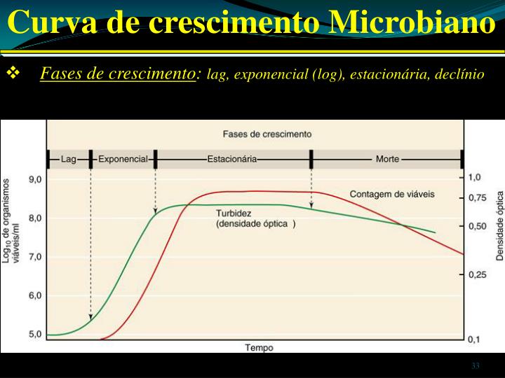 PPT Crescimento Microbiano PowerPoint Presentation ID905940
