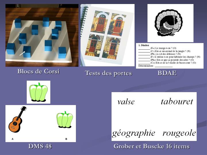 PPT Clinique de la neuropsychologie Myriam NOEL Neuropsychologue au