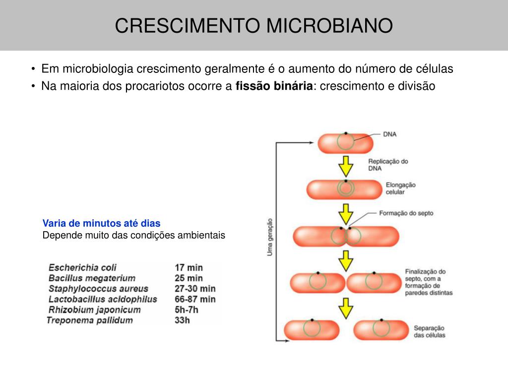 PPT Fisiologia microbiana Nutrição e crescimento PowerPoint