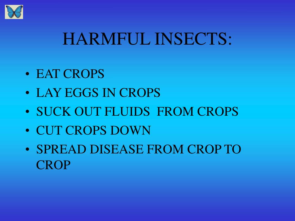 PPT INSECT I. D. PowerPoint Presentation, free download ID920729