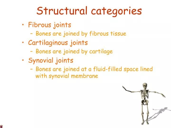 PPT Structural categories PowerPoint Presentation, free download ID