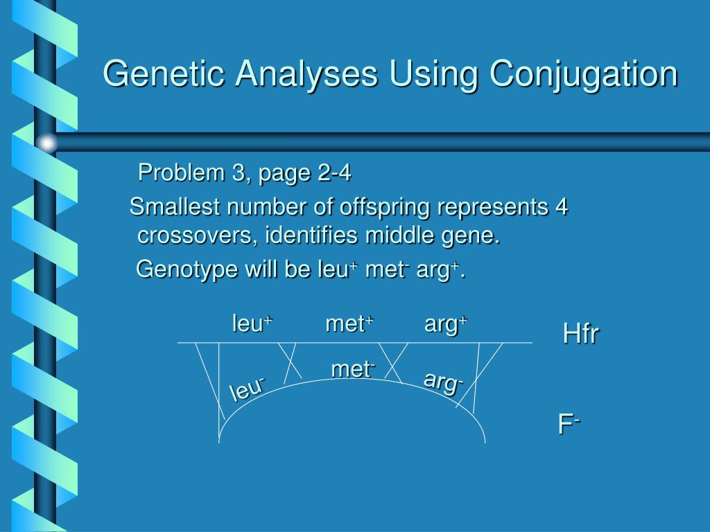 PPT Gene Transfer in Bacteria and Bacteriophage