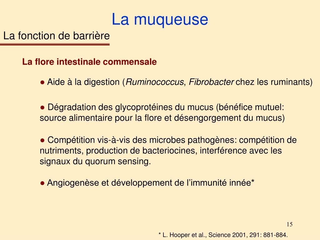 PPT M2 Infectiologie Cellulaire et Moléculaire, Vaccinologie Module 5