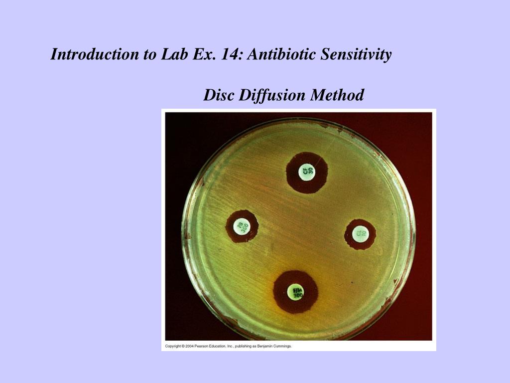 PPT Introduction to Lab Ex. 14 Antibiotic Sensitivity Disc Diffusion