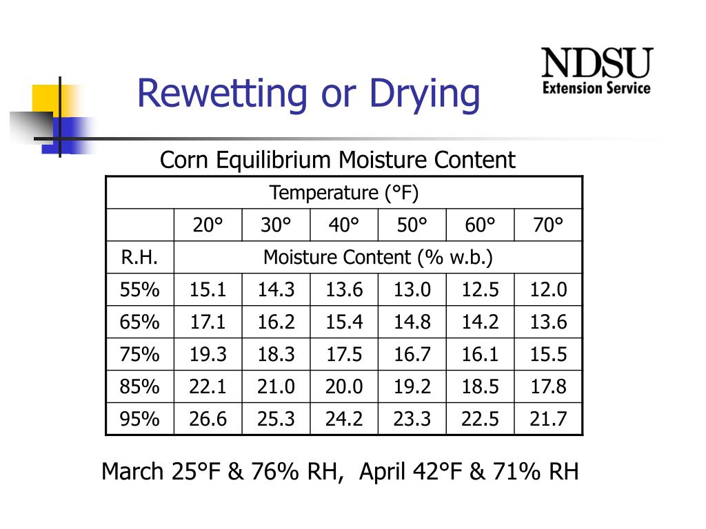 PPT Corn Storage and Drying Spring 2009 PowerPoint Presentation