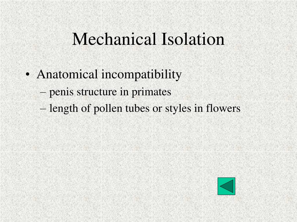 PPT The Origin of Species PowerPoint Presentation, free download ID