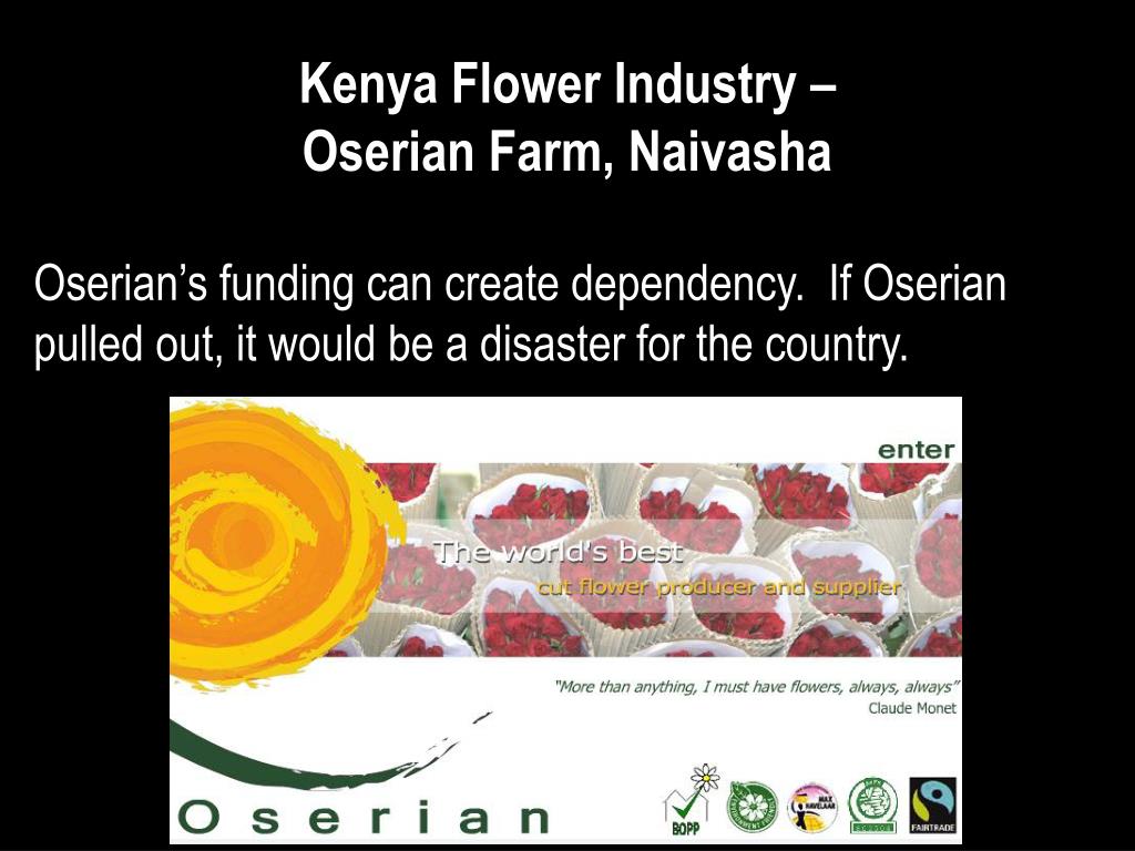 PPT Kenya Flower Industry Oserian Farm, Naivasha PowerPoint