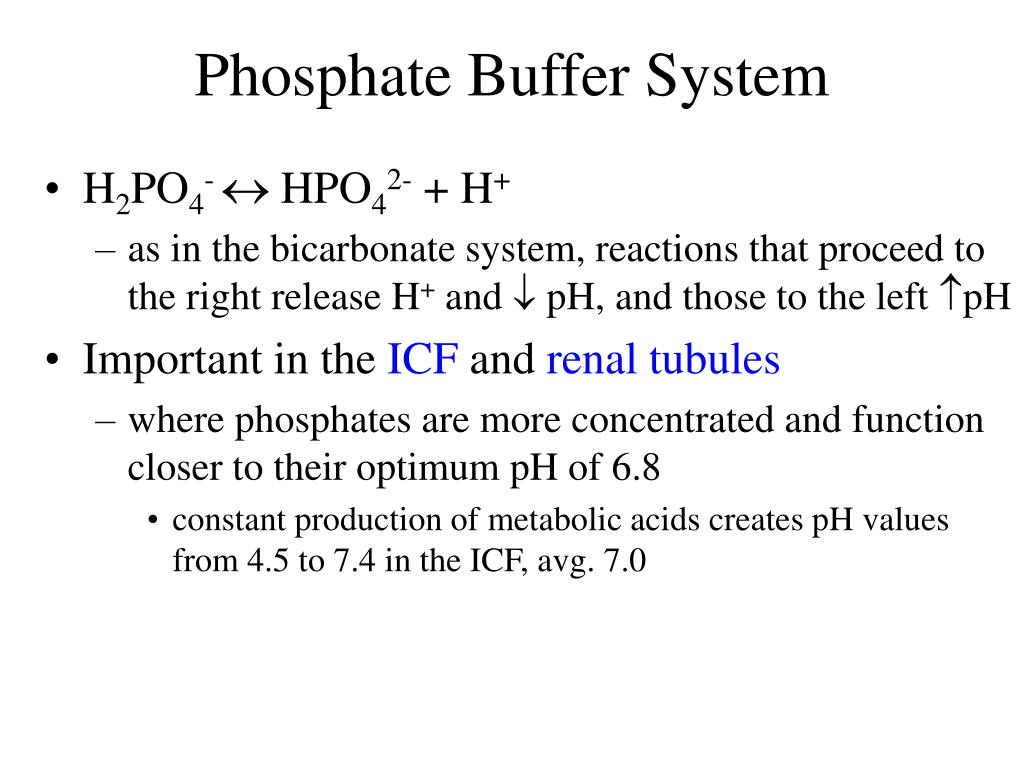 PPT Chapter 24 Water, Electrolyte and AcidBase Balance PowerPoint