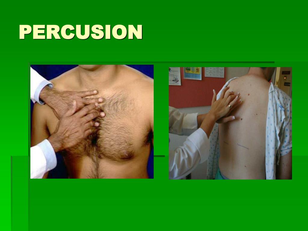 PPT SEMIOLOGIA DEL APARATO RESPIRATORIO PowerPoint Presentation, free